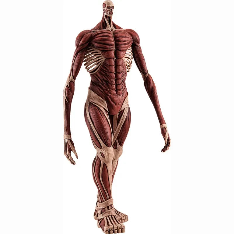 Figurine Attack on Titan - Colossus Titan 26 cm